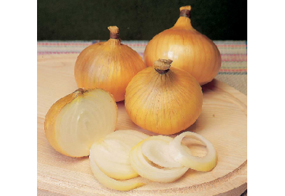 Centurion Onion Sets